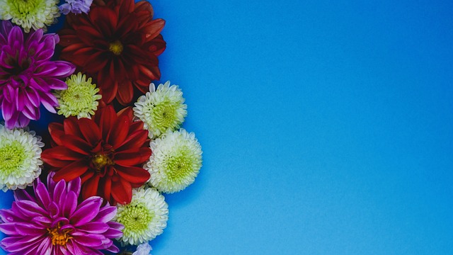 主帅的重大 主帅的重大