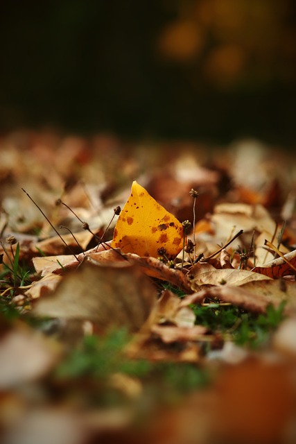 不断提升自 不断提升自