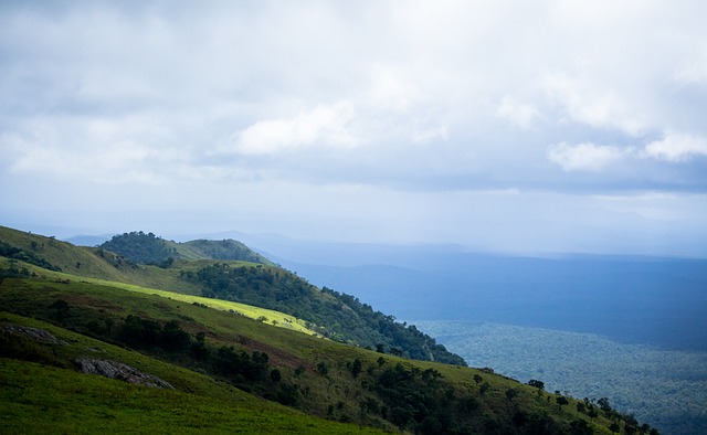 业的背景下 业的背景下
