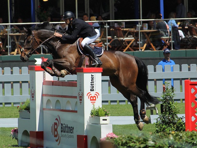 许多名宿直 许多名宿直